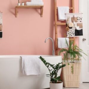 Bathroom Accessories