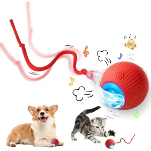 Cat Dancing Ball