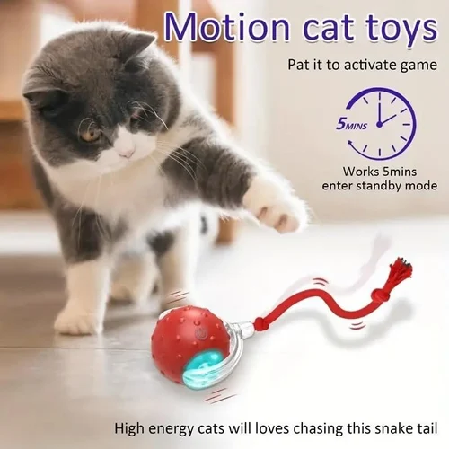 Cat Dancing Ball