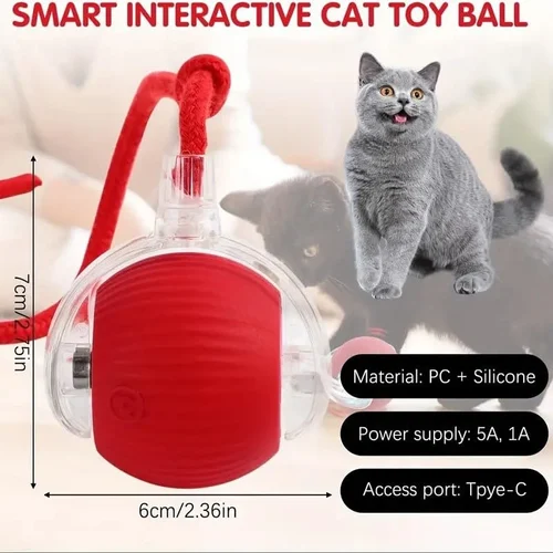 Cat Dancing Ball