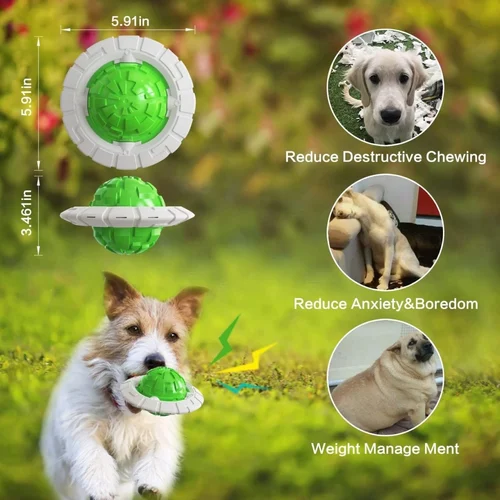 Dog Ball Toy