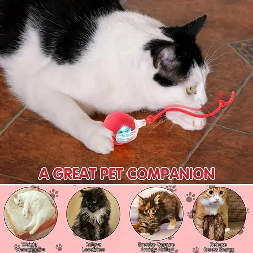 Cat Dancing Ball