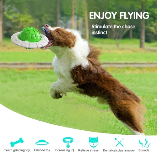 Dog Ball Toy
